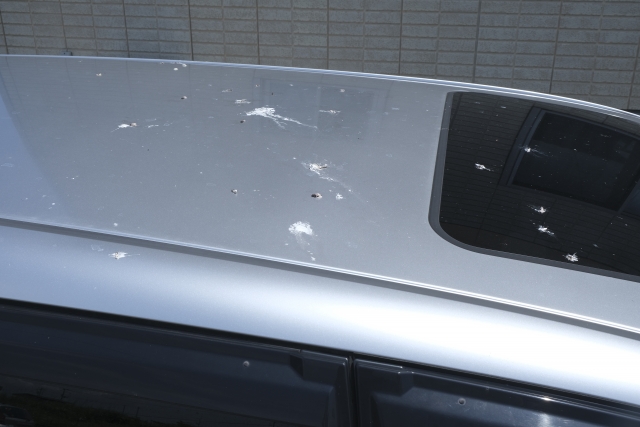 鳥のフン 車 塗装剥がれ 修理