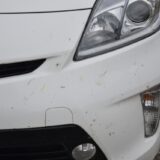 車　虫取り　家にあるもの