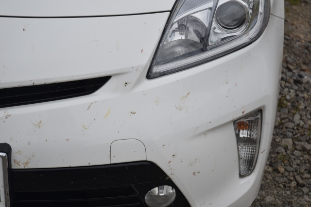 車　虫取り　家にあるもの