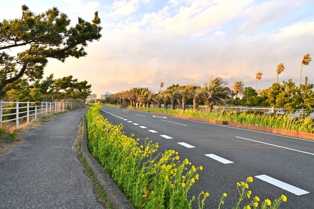 房総フラワーライン